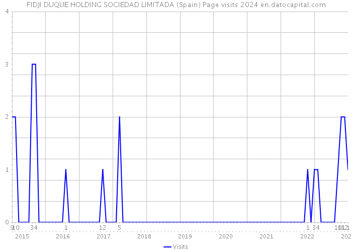 FIDJI DUQUE HOLDING SOCIEDAD LIMITADA (Spain) Page visits 2024 