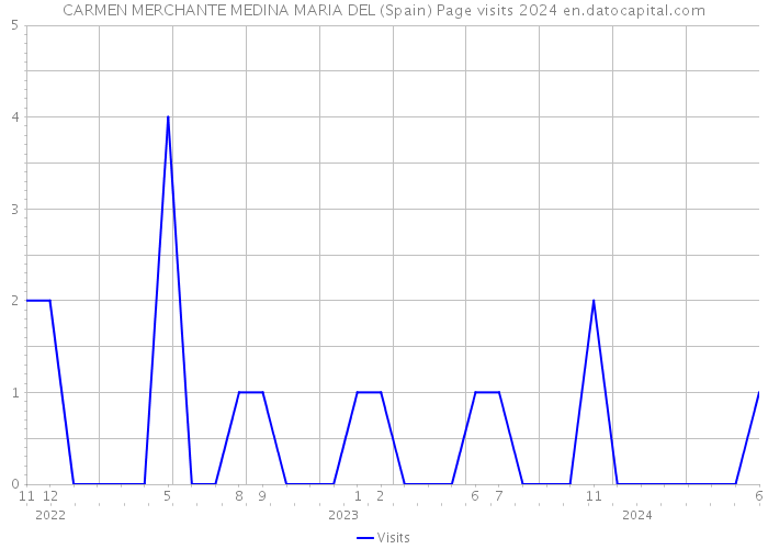 CARMEN MERCHANTE MEDINA MARIA DEL (Spain) Page visits 2024 