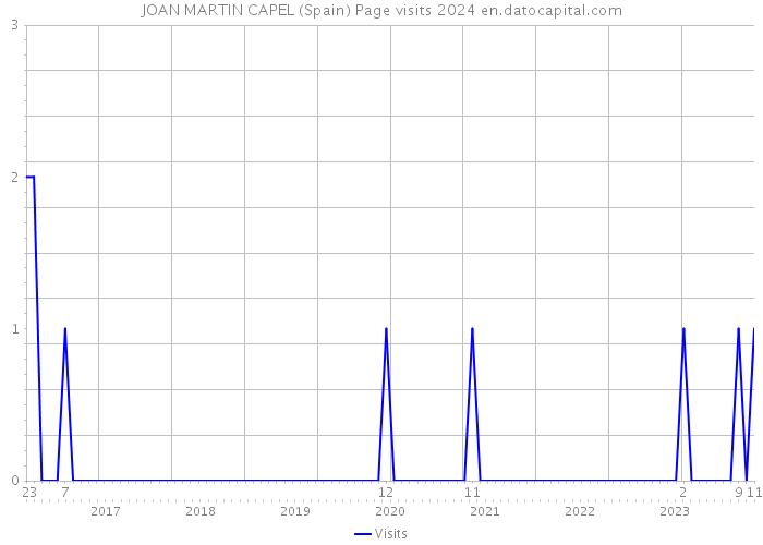 JOAN MARTIN CAPEL (Spain) Page visits 2024 