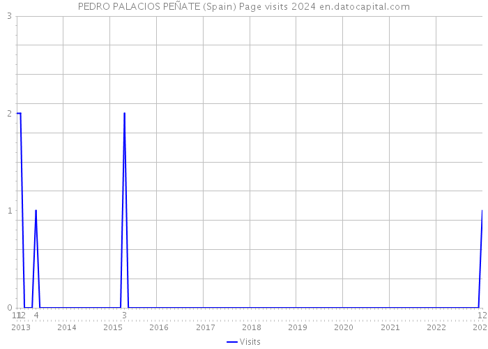 PEDRO PALACIOS PEÑATE (Spain) Page visits 2024 