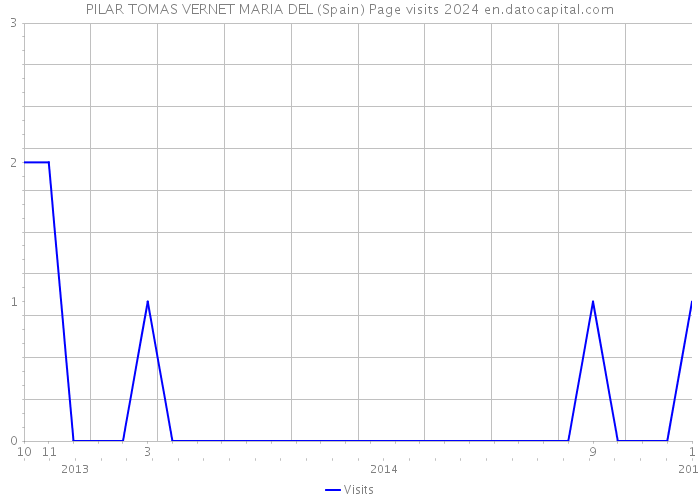 PILAR TOMAS VERNET MARIA DEL (Spain) Page visits 2024 