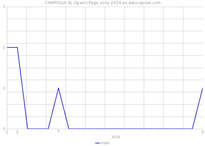 CAMPIGLIA SL (Spain) Page visits 2024 