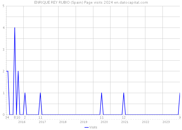 ENRIQUE REY RUBIO (Spain) Page visits 2024 