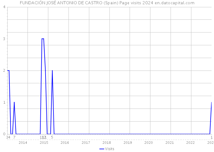 FUNDACIÓN JOSÉ ANTONIO DE CASTRO (Spain) Page visits 2024 