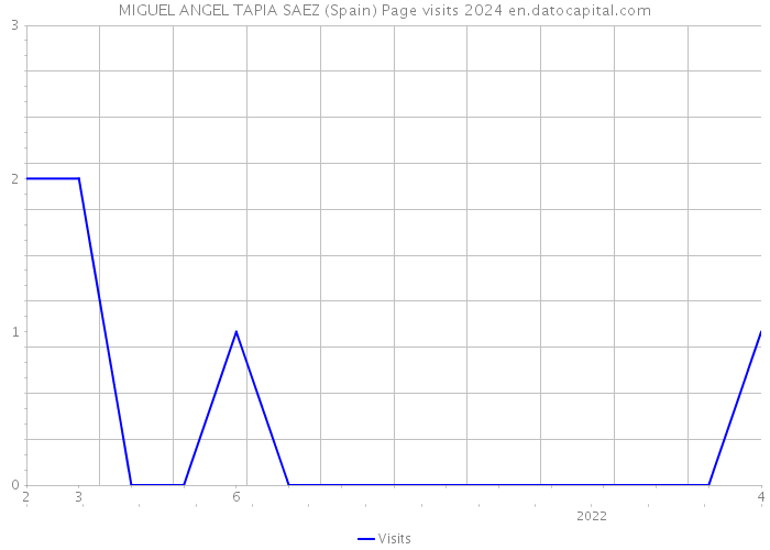 MIGUEL ANGEL TAPIA SAEZ (Spain) Page visits 2024 