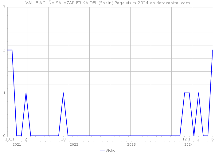 VALLE ACUÑA SALAZAR ERIKA DEL (Spain) Page visits 2024 