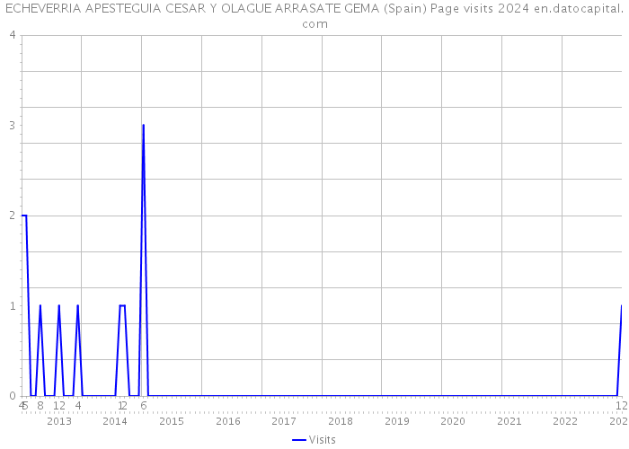 ECHEVERRIA APESTEGUIA CESAR Y OLAGUE ARRASATE GEMA (Spain) Page visits 2024 