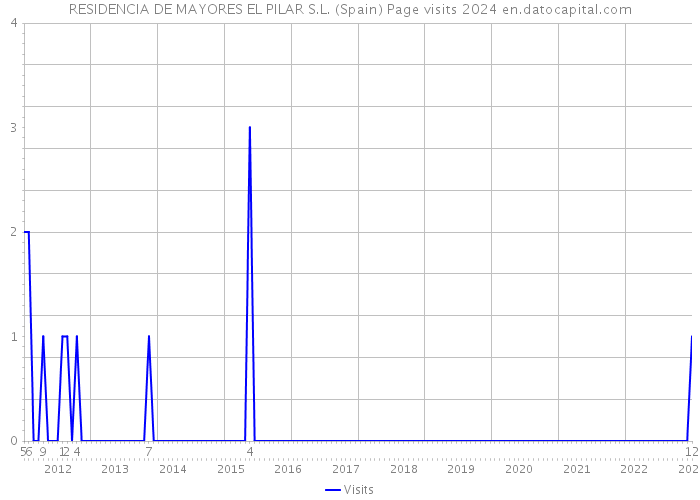 RESIDENCIA DE MAYORES EL PILAR S.L. (Spain) Page visits 2024 