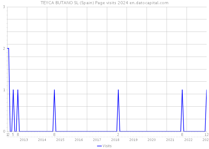 TEYCA BUTANO SL (Spain) Page visits 2024 