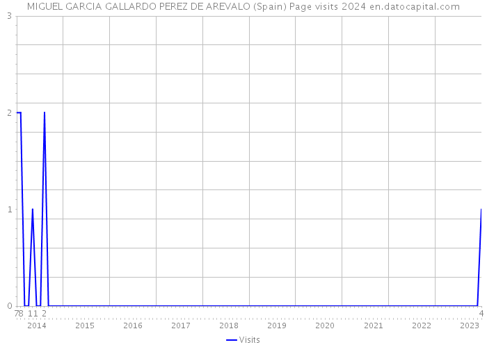 MIGUEL GARCIA GALLARDO PEREZ DE AREVALO (Spain) Page visits 2024 