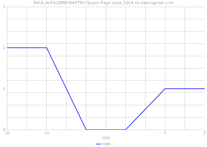 RAUL ALFAGEME MARTIN (Spain) Page visits 2024 
