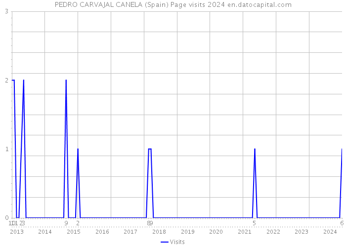 PEDRO CARVAJAL CANELA (Spain) Page visits 2024 