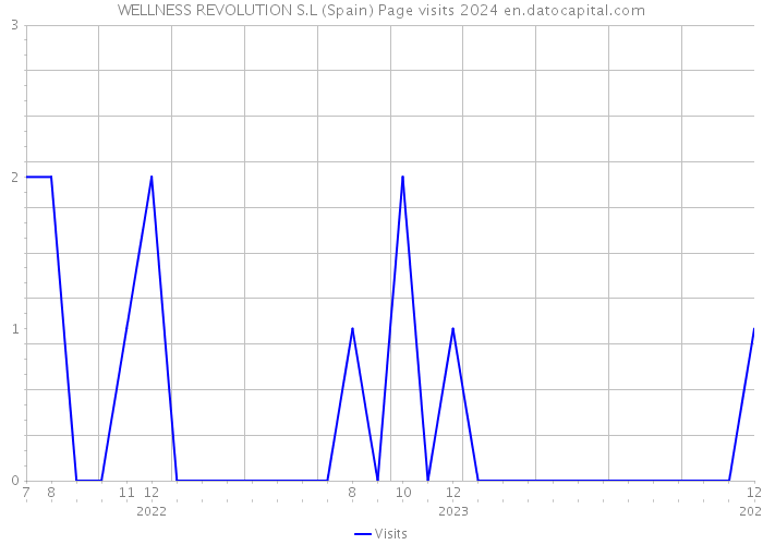 WELLNESS REVOLUTION S.L (Spain) Page visits 2024 