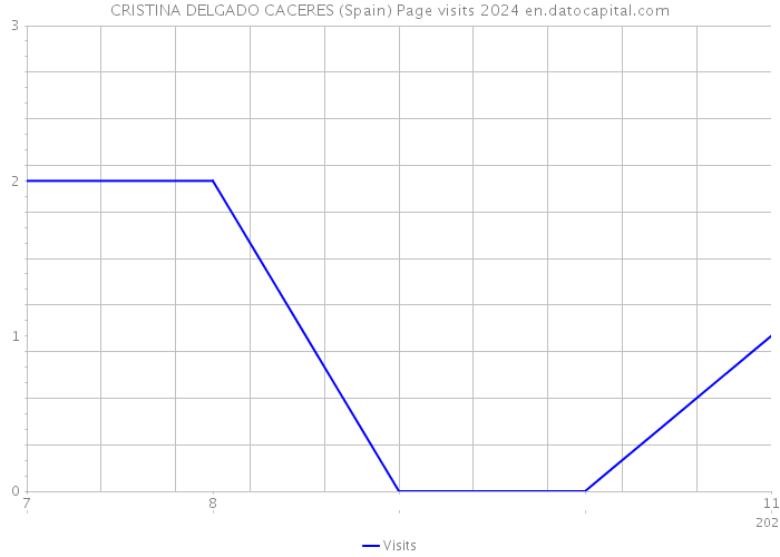 CRISTINA DELGADO CACERES (Spain) Page visits 2024 