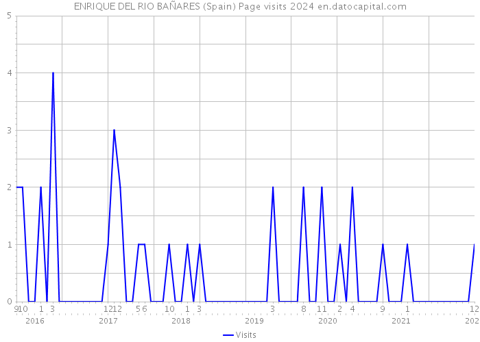 ENRIQUE DEL RIO BAÑARES (Spain) Page visits 2024 