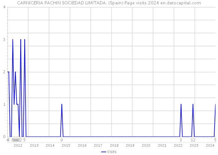 CARNICERIA PACHIN SOCIEDAD LIMITADA. (Spain) Page visits 2024 