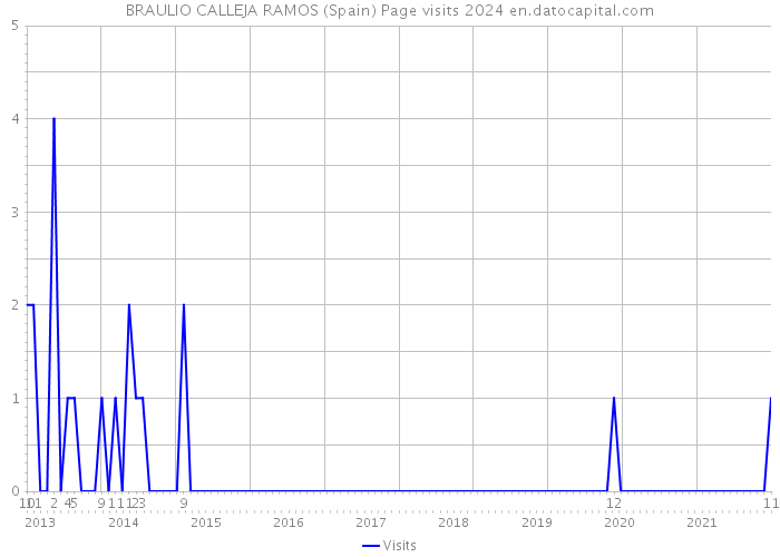 BRAULIO CALLEJA RAMOS (Spain) Page visits 2024 