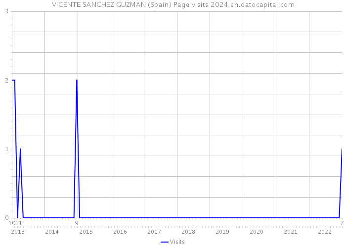 VICENTE SANCHEZ GUZMAN (Spain) Page visits 2024 