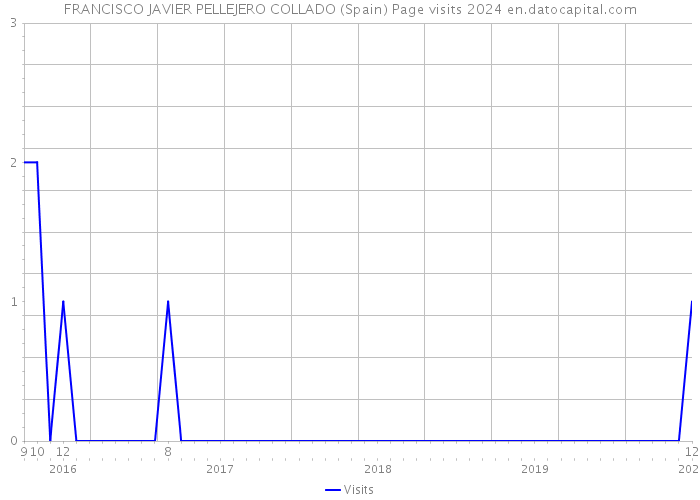 FRANCISCO JAVIER PELLEJERO COLLADO (Spain) Page visits 2024 