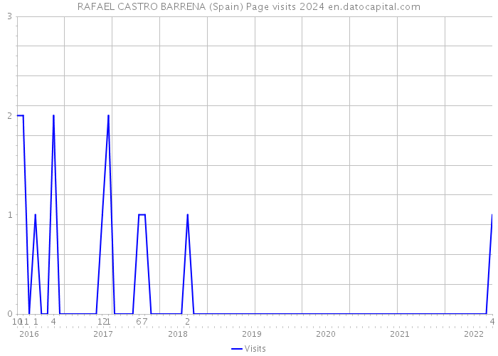 RAFAEL CASTRO BARRENA (Spain) Page visits 2024 