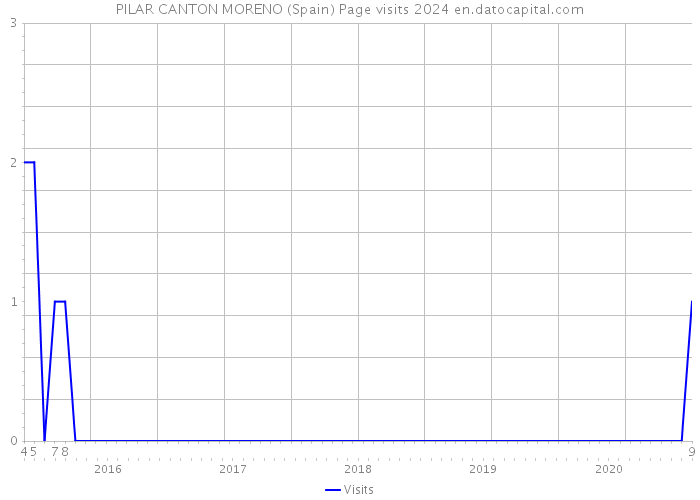 PILAR CANTON MORENO (Spain) Page visits 2024 