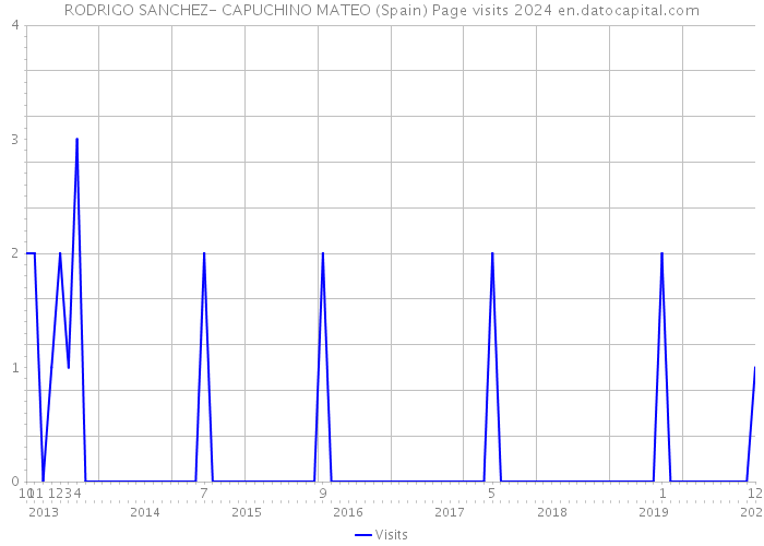 RODRIGO SANCHEZ- CAPUCHINO MATEO (Spain) Page visits 2024 