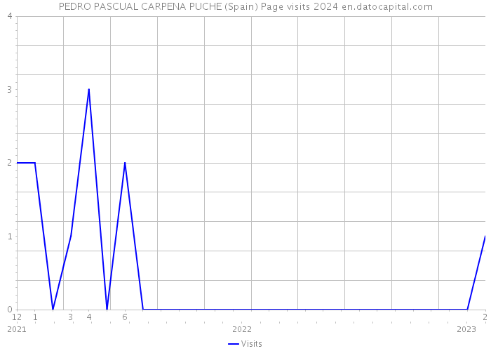 PEDRO PASCUAL CARPENA PUCHE (Spain) Page visits 2024 