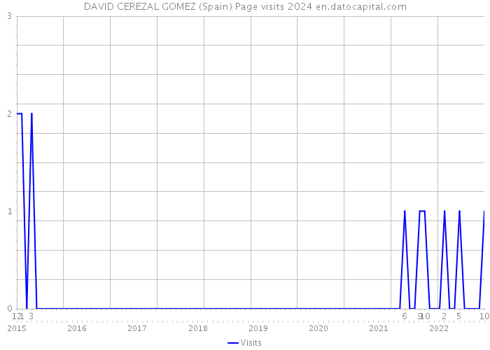 DAVID CEREZAL GOMEZ (Spain) Page visits 2024 