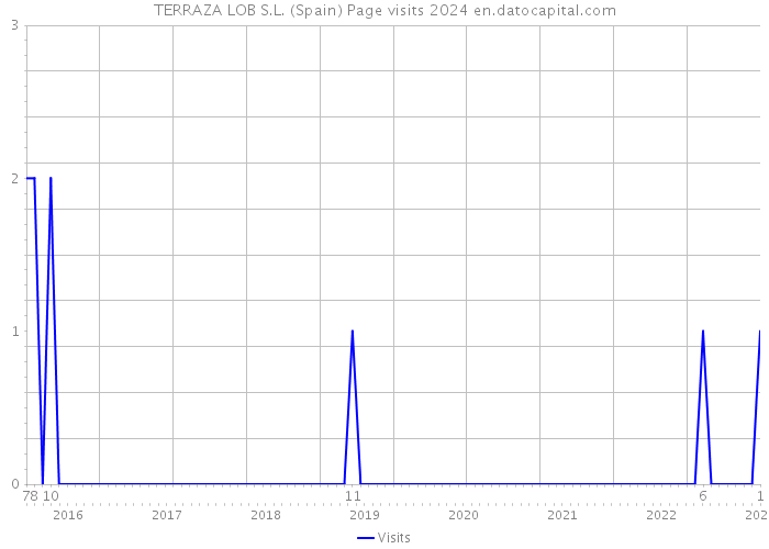 TERRAZA LOB S.L. (Spain) Page visits 2024 