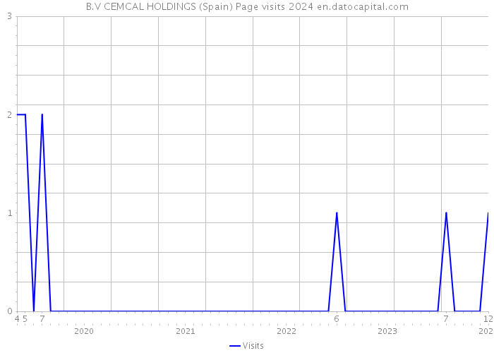 B.V CEMCAL HOLDINGS (Spain) Page visits 2024 