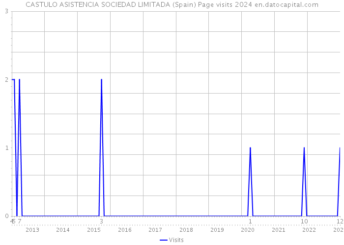 CASTULO ASISTENCIA SOCIEDAD LIMITADA (Spain) Page visits 2024 