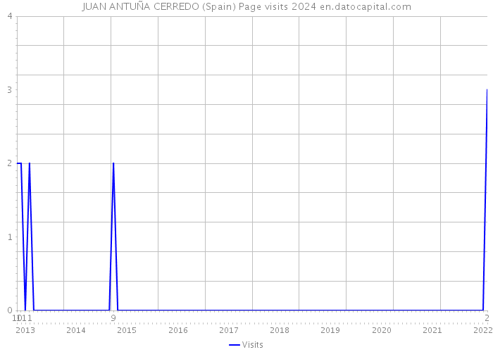 JUAN ANTUÑA CERREDO (Spain) Page visits 2024 