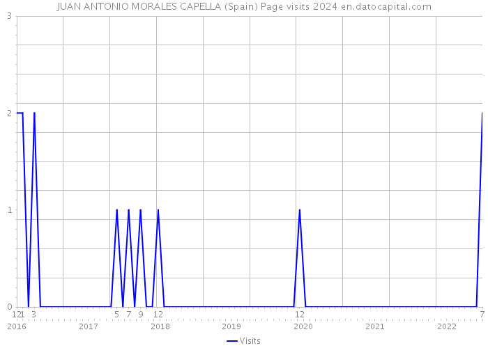 JUAN ANTONIO MORALES CAPELLA (Spain) Page visits 2024 