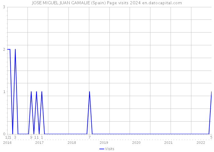 JOSE MIGUEL JUAN GAMALIE (Spain) Page visits 2024 