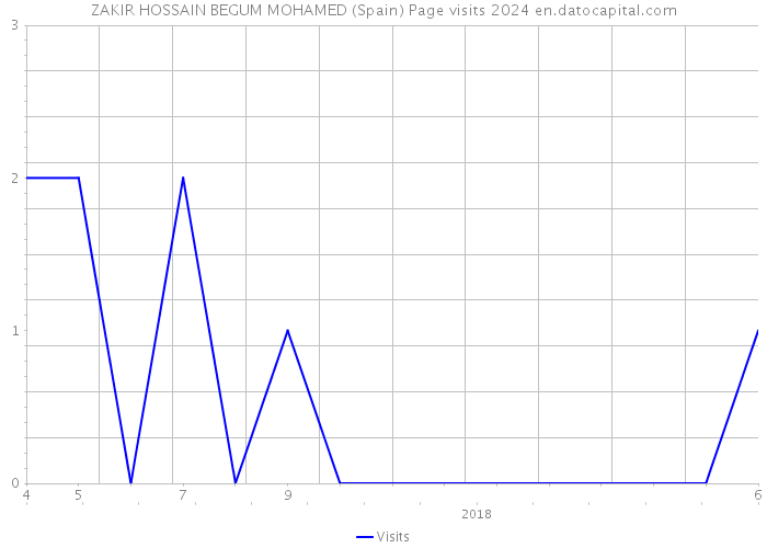 ZAKIR HOSSAIN BEGUM MOHAMED (Spain) Page visits 2024 
