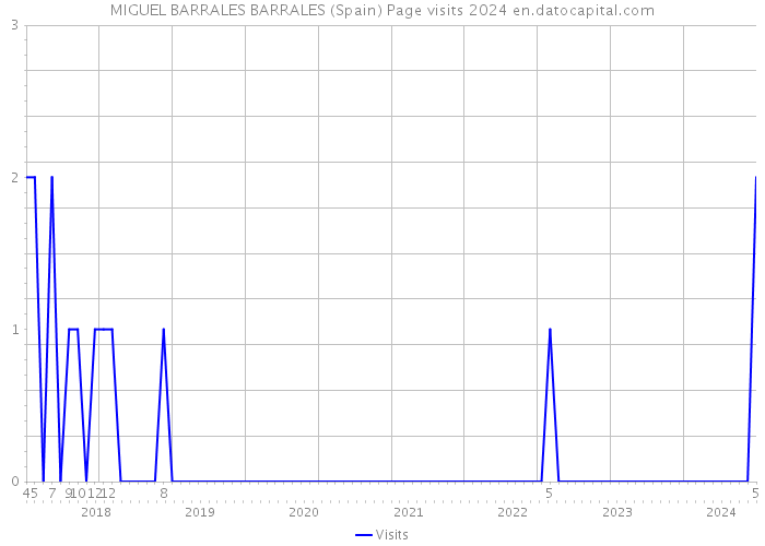 MIGUEL BARRALES BARRALES (Spain) Page visits 2024 