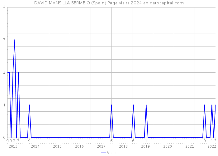 DAVID MANSILLA BERMEJO (Spain) Page visits 2024 
