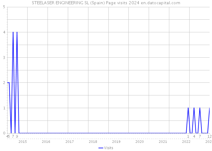 STEELASER ENGINEERING SL (Spain) Page visits 2024 