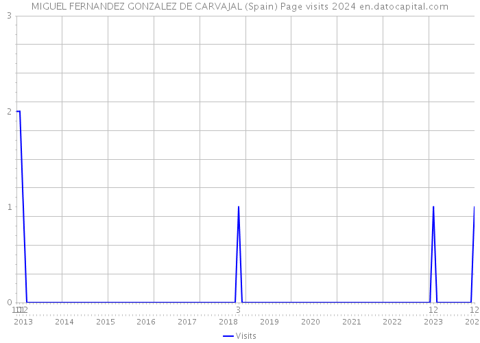 MIGUEL FERNANDEZ GONZALEZ DE CARVAJAL (Spain) Page visits 2024 