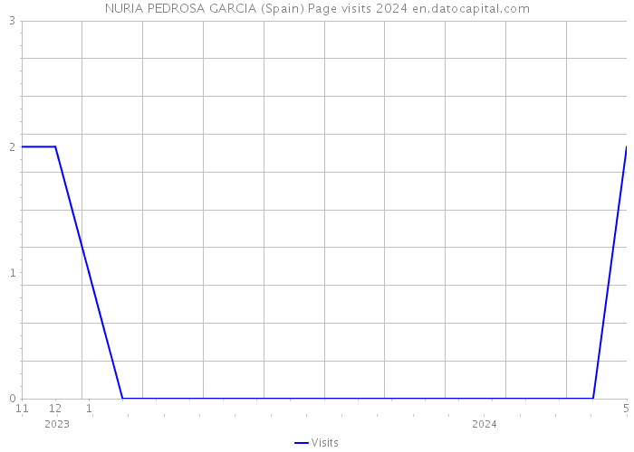 NURIA PEDROSA GARCIA (Spain) Page visits 2024 