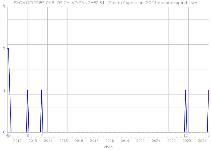 PROMOCIONES CARLOS CALVO SANCHEZ S.L. (Spain) Page visits 2024 