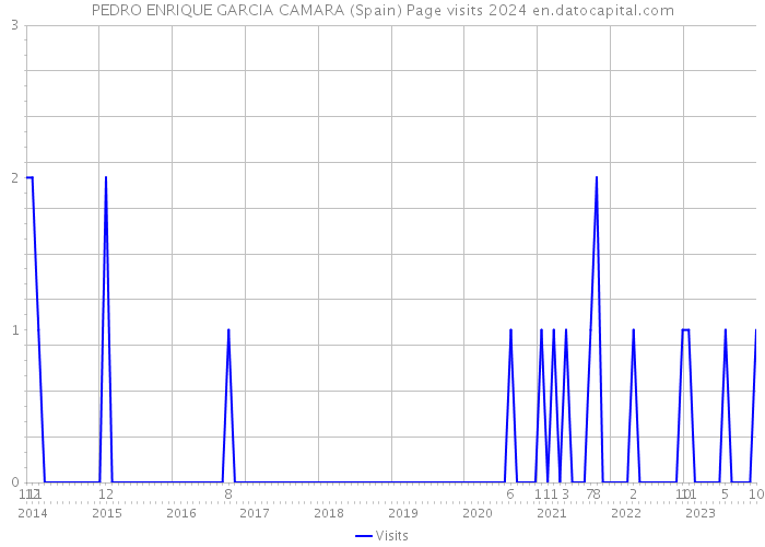 PEDRO ENRIQUE GARCIA CAMARA (Spain) Page visits 2024 