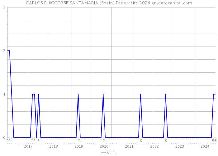 CARLOS PUIGCORBE SANTAMARIA (Spain) Page visits 2024 