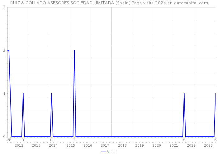 RUIZ & COLLADO ASESORES SOCIEDAD LIMITADA (Spain) Page visits 2024 