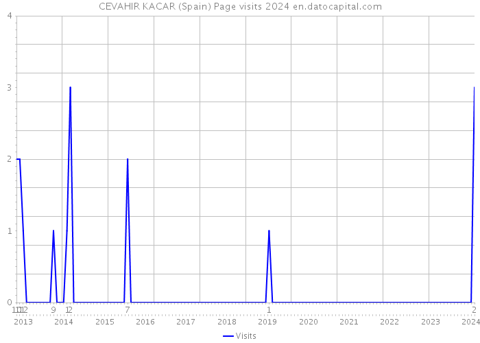 CEVAHIR KACAR (Spain) Page visits 2024 