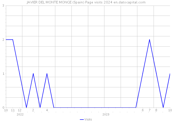 JAVIER DEL MONTE MONGE (Spain) Page visits 2024 