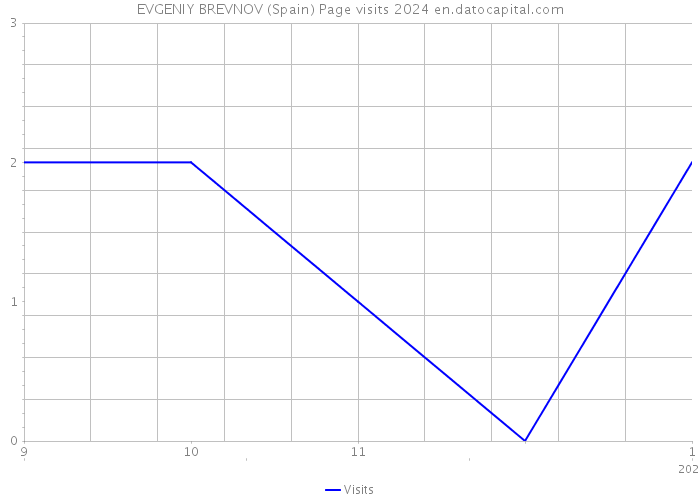 EVGENIY BREVNOV (Spain) Page visits 2024 