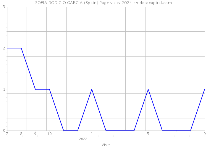 SOFIA RODICIO GARCIA (Spain) Page visits 2024 