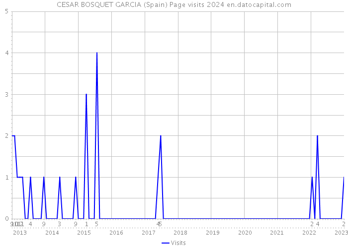 CESAR BOSQUET GARCIA (Spain) Page visits 2024 
