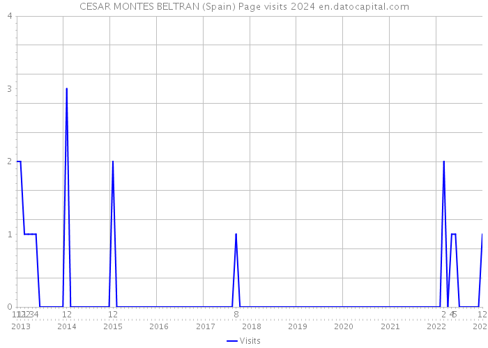 CESAR MONTES BELTRAN (Spain) Page visits 2024 